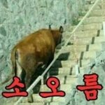 [EXO] 유전<b>무죄</b> 무빽유죄