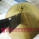 [EXO] ㄹㅇ리셋안하면 멜롱<b>직원</b> 3대가