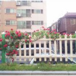 [<b>유익</b>한글] * 노력도 습관이다 *