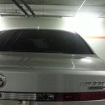 [모모유머] 이해불가.jpg 