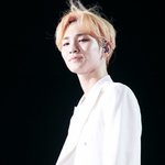 머리에 <b>새싹</b> 키우는 男아이돌들