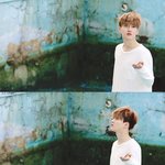 [EXO] 솔까 서양수박 스밍60%투표몇%이런식으로 