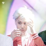 [EXO] 우리는 <b>샤니</b>팬 개들이랑 친해질수없어 