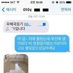 [<b>모모</b>유머] 부산의 물난리.jpg有ㄷㄷㄷ