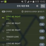 [EXO] 멜롱 인귀과요