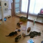 [시도] 예쁘지 않은 <b>털옷</b> 때문일까요..