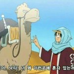 [콜로라도] 원피스 종방 최대위기.jpg