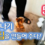 [람쥐] 5화 - 여름나기 새 집을 만들어 주다!_시즌2