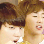 [인피니트] 팬질은 마이웨이