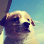 [여자의심리] <b>대쉬</b>만 받다가 이제는 제가 해보려는데