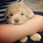 [인피니트] 콩떡이는