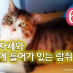 [<b>람</b>쥐] 6화 - <b>람</b>쥐의 묘한 자세와 표정_시즌2