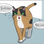 [고양이뚜껑] 웹툰 <고양이 뚜껑> 8화가 올라왔어요!