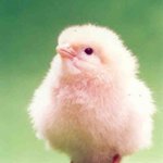 [EXO] 현빈오빠에 대한 인신공격 루머 및 악플은 다이렉트로 보내주세요