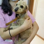 [함안길천사] 함안에서 차량 이동봉사자를 애타게 찾고있습니다.