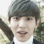 [EXO] <b>To</b>. 친애하는 나의 에리카 