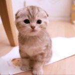 [수리<b>노을</b>] 상자속에 뭐가 있지?