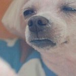 [댓글부탁해] 다들<b>부모</b>님<b>직업</b>이뭐야?