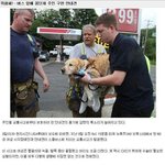버스 앞에 몸던져 <b>주인</b> 구한 안내견