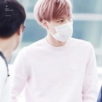 [카이] 종인이 <b>분홍</b>벗꽃 같아