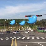 [재밌는사진] 트위터에서 주워온 인기 짤 공유