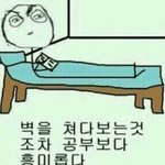 [오늘뭐먹지] 셤기간 오늘 뭐 먹지?