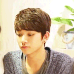[세븐틴] <b>공찬</b>+리키 느낌나는 남자아이돌