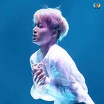 [카이] 엑소엘과 행복한 길을 걷고 있다는 카이