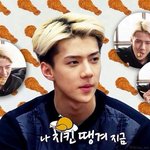 [EXO] 나 타갤 투표독려글썼다가 개두드려마즘