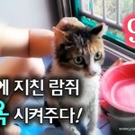 [람쥐] 9화 - 람쥐 목욕 시켜주다!_시즌2