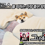 메르스 3차감염 <b>예방</b> 캠페인.JPG