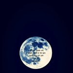 [EXO] 난 <b>배사</b> 애들사진아닌데 이쁨