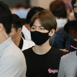 [백현] 백현이 티셔츠에 <b>악어</b>