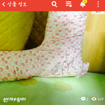 [EXO] 찬열아어쩌다<b>베개</b>에다가도 싸인했어ㅋㅋㅋㅋㅌ