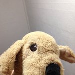 [EXO] 인형 이름 <b>지어</b> 줘