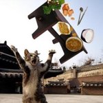 [댓글부탁해] 여친의 똥 묻은 팬티 ㅜㅡ