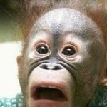 [백현] ↓  <b>요</b> 정신병<b>자</b> 미래 배우자