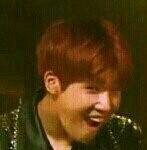 [인피니트] 엔톡이나 팬톡에서 자주보는 인슾고정닉