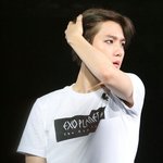 [백현] 백현이의 <b>갭</b>을 사랑해