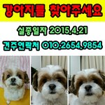 제발 많은 관심 부탁드립니다 부탁드립니다 자세히좀 봐주세요..ㅜㅜ
