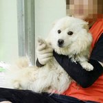 [마산길천사] 사랑이 넘치는 땅콩이.