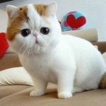 [꼭조언부탁]  지저분한아내. .