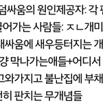 [모든팬덤] 진짜 팬덤<b>싸움</b>은(ㅇㄱㄹㅇ)