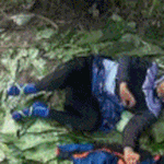 [EXO] <b>타오</b> 이거뭐야?