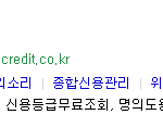 신용<b>조회</b> 집에서 편하게 해보세용.