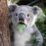 하면 하와이도 가고 서울불꽃축제 <b>명당</b>자리 골든티켓도 준답니다~!...