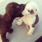 [EXO] 주말알바해서 30만원도 받는데