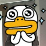 요요 없는 식습관 조절 다이어트 후기