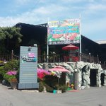 <b>일산</b> 애니골 맛집 일식으로 유명한 관훈 하우스 강력추천!!!