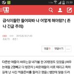 [EXO] 이글 쓰니인데 어떻게 해야해? 좀 도와줘